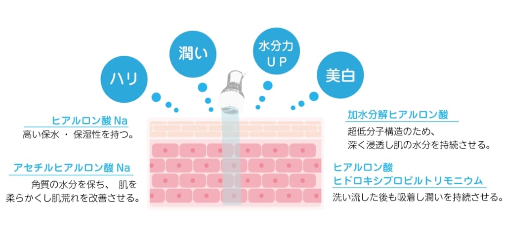 ヒアルロン酸による肌への効果(ハリ、潤い、水分力UP、美白)。ヒアルロン酸Na:高い保水・保湿性を持つ。アセチルヒアルロン酸Na:角質の水分を保ち、肌を柔らかくし肌荒れを改善させる。加水分解ヒアルロン酸:超低分子構造のため、深く浸透し肌の水分を持続させる。ヒアルロン酸ヒドロキシプロピルトリモニウム:洗い流した後も吸着し潤いを持続させる。
